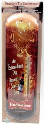 Picture of An Extraordinary Day Thermometer