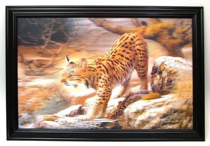 Picture of Bobcat 3-D picture REDUCED