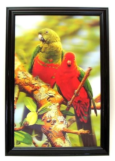 Picture of Parrot 3-D Picture REDUCED