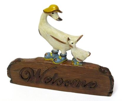 Picture of Duck ''Welcome'' Sign
