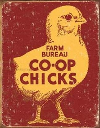 Picture of Tin Sign - Farm Bureau Co-op Chicks