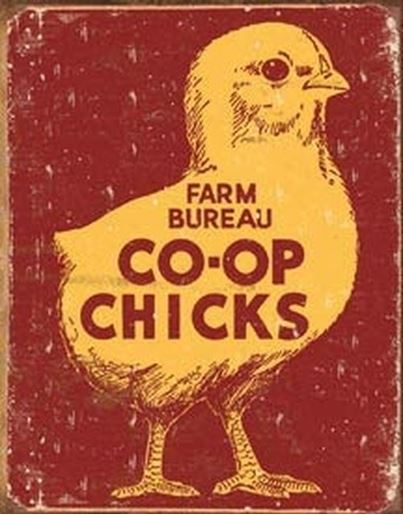 Picture of Tin Sign - Farm Bureau Co-op Chicks