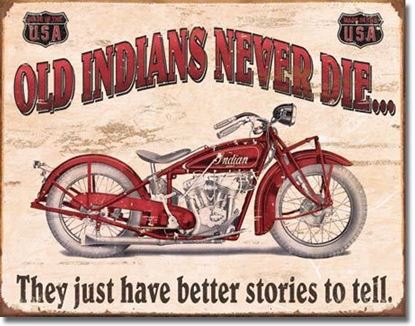 Picture of Indian - Better Stories