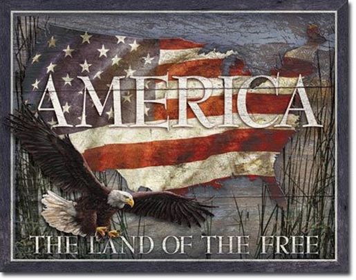 Picture of America - Land of the Free