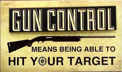 Picture of Wood "Gun Control" Sign