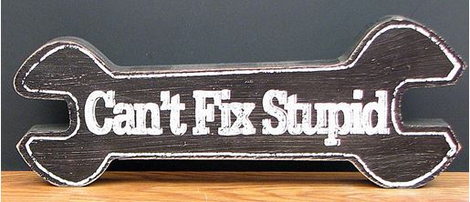 Image sur "Can't Fix Stupid" Tabletop Wood Sign