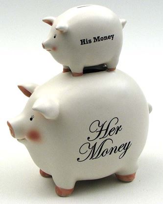 Picture of His Money/Her Money Pig Bank