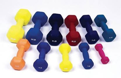 Picture of Dumbell Weight Color Vinyl Coated 2 Lb