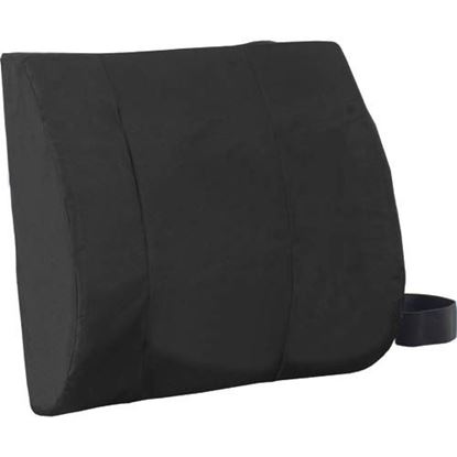 Picture of Lumbar Cushion  Molded 13 x15 x5  by Alex Orthopedic