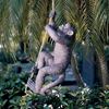 Picture of Outdoor Monkey Garden Statue Climbing Hemp Rope