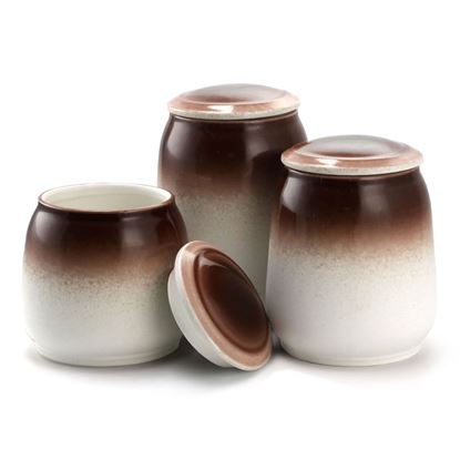 Picture of Elama 3 Piece Ceramic Kitchen Canister Collection in Toasted Coconut