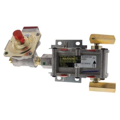 Picture of ERP DG94-00449A DG94-00449A Gas Range Assembly, Valve, and Regulator