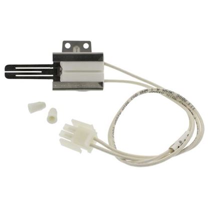 Picture of ERP WB13K10043 Gas Range Igniter for GE