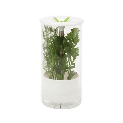 Picture of Honey-Can-Do KCH-06398 Glass Herb Preserver