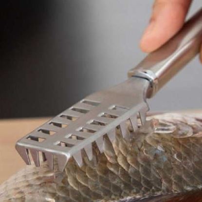 Image de Stainless Steel Fish Scales Skin Remover