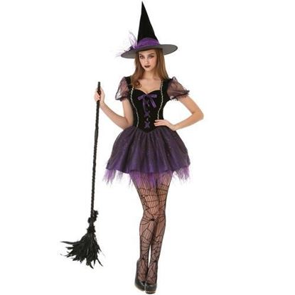图片 Wicked Witch Adult Costume, M