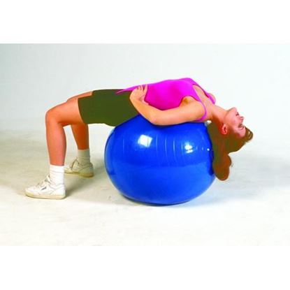 Picture of Inflatable PT  Ball-30in 75 Cm- Red