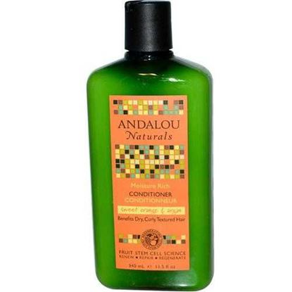 Picture of Andalou Naturals Moisture Rich Sweet Orange & Argan Shampoo (1x11.5 Oz)