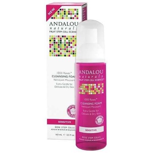 Picture of Andalou Naturals 1000 Roses Cleansing Foam (1x5.5 OZ)