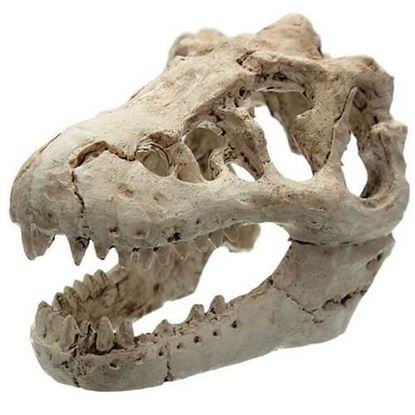 Picture of Dragon Resin Aquarium Decoration Crocodile Skull For Fish Tank Resin Ornament