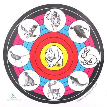Picture of 40X40cm Archery Target Paper For Outdoor Sport Archery Bow Hunting Shooting Training Target