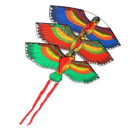 Picture of Outdoor Beach Park Polyester Camping Flying Kite Bird Parrot Steady With String Spool For Adults Kids