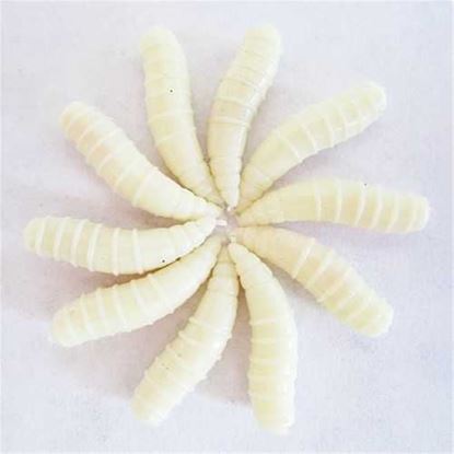 Picture of ZANLURE 25 Pcs 16MM Soft Silicone Noctilucent Fishing Lure Worms Grub with Taste