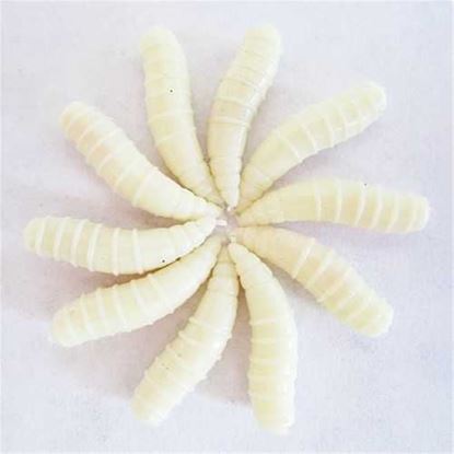 图片 ZANLURE 25 Pcs 16MM Soft Silicone Noctilucent Fishing Lure Worms Grub with Taste