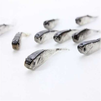 Picture of ZANLURE 1Set 10PCS Soft Silicone Fishing Lure Bait Freshwater Salt Water