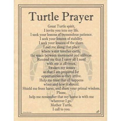 Picture of Turtle Prayer poster