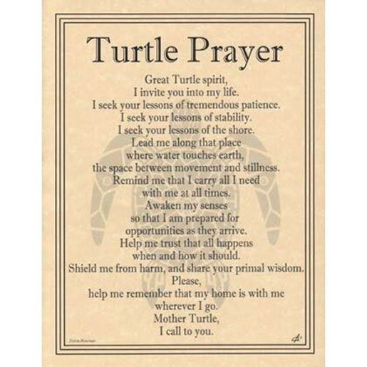 Picture of Turtle Prayer poster