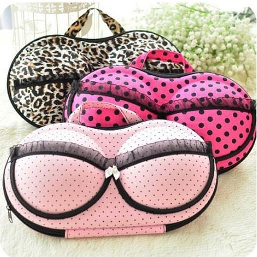 Picture of Creative Bra Underwear Trave Portable Organizer Storage Box Bags