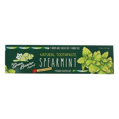 Picture of The Green Beaver Toothpaste - Spearmint Toothpaste - Case of 1 - 2.5 fl oz.