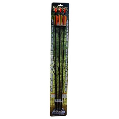 Picture of Barnett JR Archery Arrows 3 pk 19007