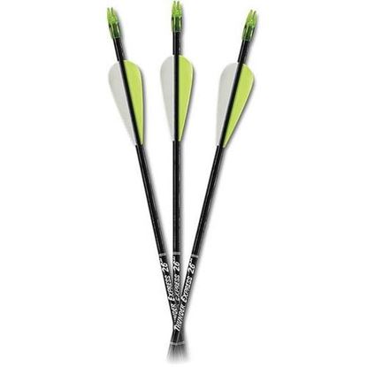 Picture of CARBON EXPRESS THUNDER EXPRESS ARROW 26 IN BLACK 3PK