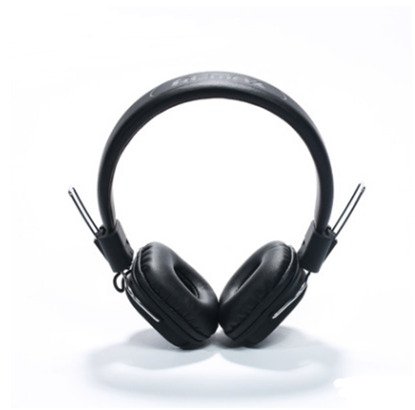 Picture of HiFi Stereo Headphones With Mic