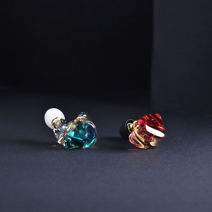 Picture of Resin exchangeable earphones