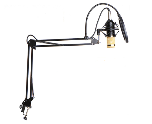 Picture of BM800 microphone set