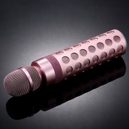 Picture of Bluetooth speaker microphone integrated K song artifact