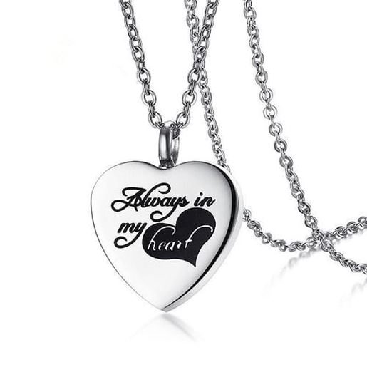 Picture of Dainty Love Heart Necklace