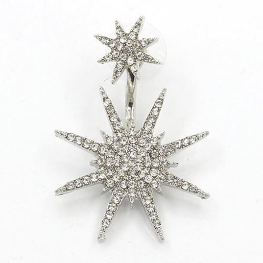 Picture of Fashion Snowflake Ear Drop