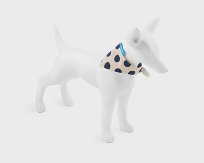 White Dog Bandana | Dark Blue Polka Dots On White