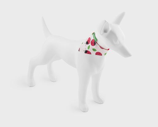 White Dog Bandana | Ladybugs On White