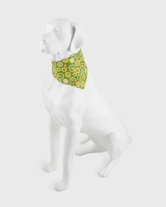 Green Dog Bandana | Yellow Foxes And Flowers On Green - Large