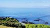 图片                                                                                                                                                                                                                                    Maui Hawaii Vacation Rentals Punahoa 202 NO AIR BNB or VRBO FEES!