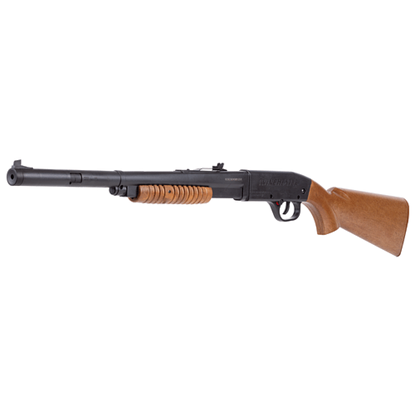 Picture of Winchester Model 12 Youth Pump BB Rifle