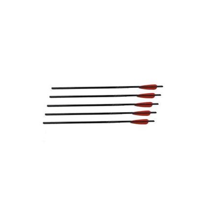 Picture of 5 Pack of 22in Arrows w/Field Point