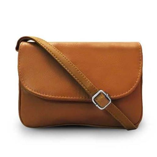 Picture of Accordion Leather Messenger Bag