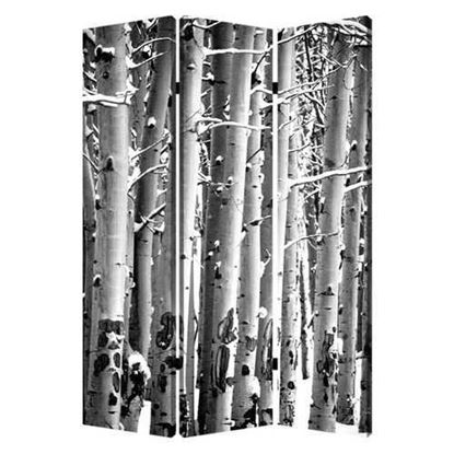 Image de 1" x 48" x 72" Multi Color Wood Canvas Birch  Screen