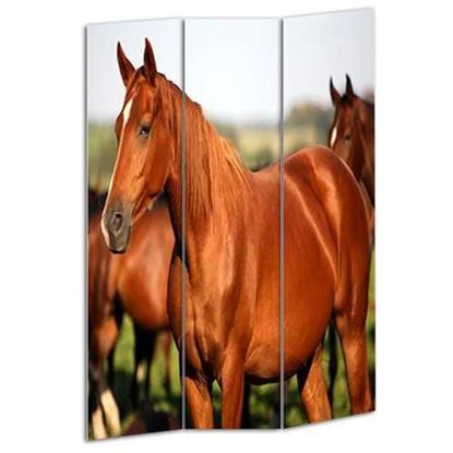 图片 1" x 48" x 72" Multi Color Wood Canvas Horse  Screen